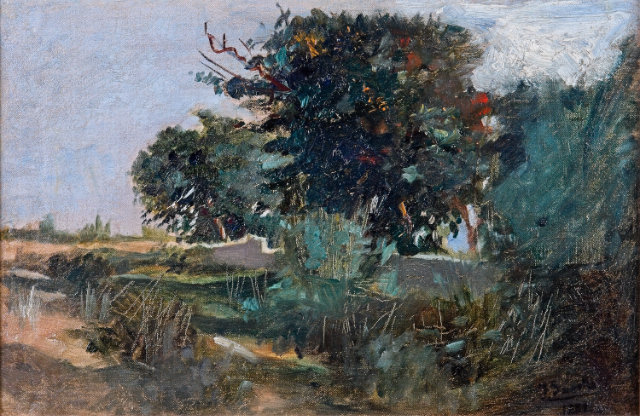 Reproducción marina Sorolla